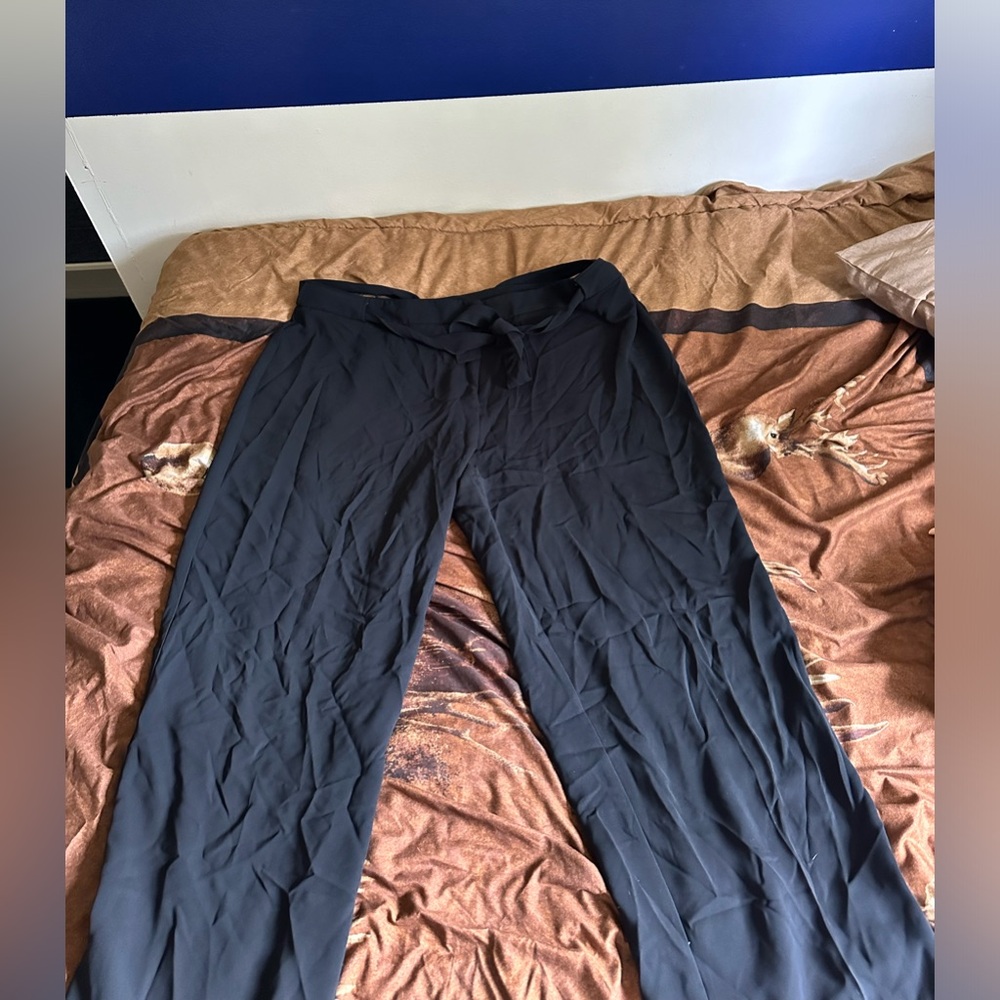 Black dressy pants. Size 24 zipper and black tie belt.